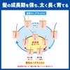 サクセス 薬用育毛トニック 微香性 180g　髪の成長期を保ち、抜けにくい強い髪を育む