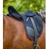STAR Satteldecke, blau, D