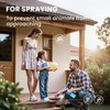 HIQILI Peppermint Essential Oil Add to Spray, Diffuser, Can Enjoy