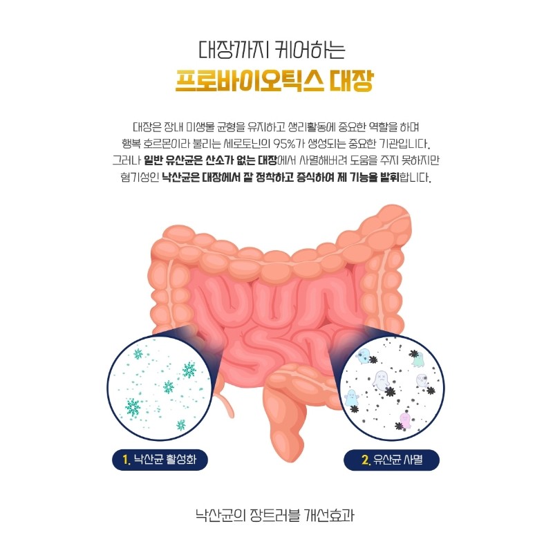 Lactobacillus Lactobacillus Probiotics Butyric Acid Effect 60 Packets / 낙산균