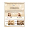 Clairol Frost & Tip Max Blonde Highlight
