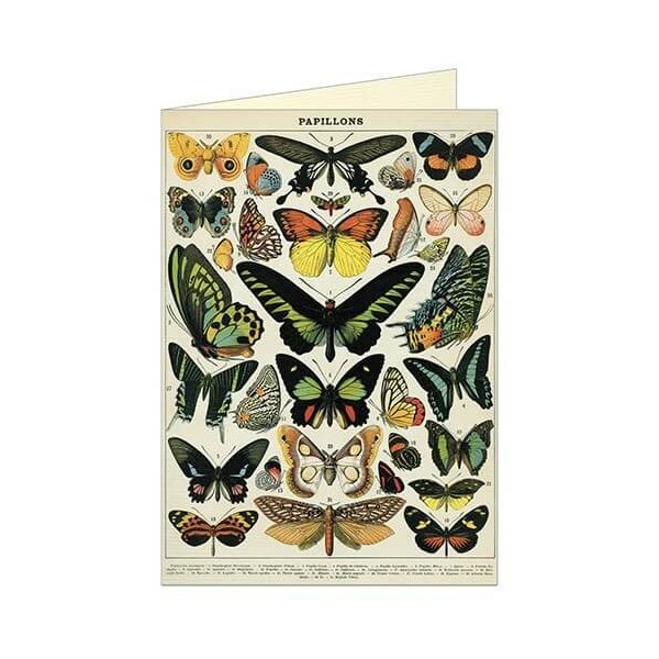 Butterflies Greeting Card with Envelope