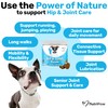 NutriPaw Joint & Hip Treats For Dogs - Stiffness, Strength,