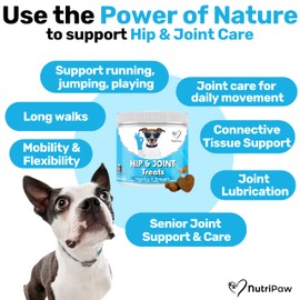 NutriPaw Joint & Hip Treats For Dogs - Stiffness, Strength, Mobility & Flexibility - Joint Supplement With Glucosamine, MSM, Chondroitin, Algae & Devils Claw - Perfect for Small, Medium & Large Dogs