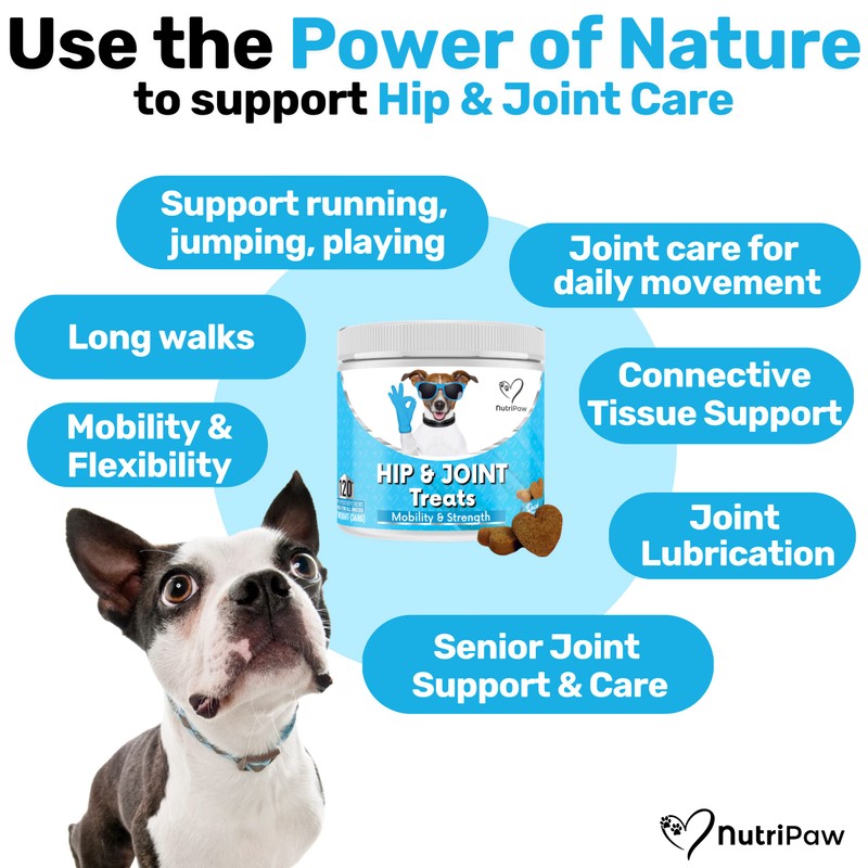 NutriPaw Joint & Hip Treats For Dogs - Stiffness, Strength,