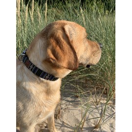 Made by Nami Boho Dog Collars Set of 2 Made of Nylon - Various Sizes Small and Large Dogs - Adjustable, Breathable & Lightweight - Premium Dog Collars (L (45-65 cm), Aztec & Brown)