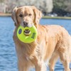 KONG Air Dog Squeaker Donut Dog Toy, Large