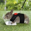 AIITLE Rabbit Harness and Leash Set with Cute Bow, Soft