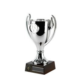 SilverTrophy: Football Silver Award, Trophy Winners, Champions, Man of the Match, Players' Player, Team, School Club, Kids Party, Prize, Competition, Tournament, Personalise, Soccer 17cm