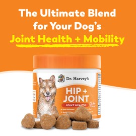 Dr. Harvey's Hip & Joint Soft Chews for Dogs, Daily Mobility Supplement Chewable Bites for Dogs with Glucosamine, Chondroitin & MSM, Green Lipped Mussel, Chicken Flavor (90 Chews)