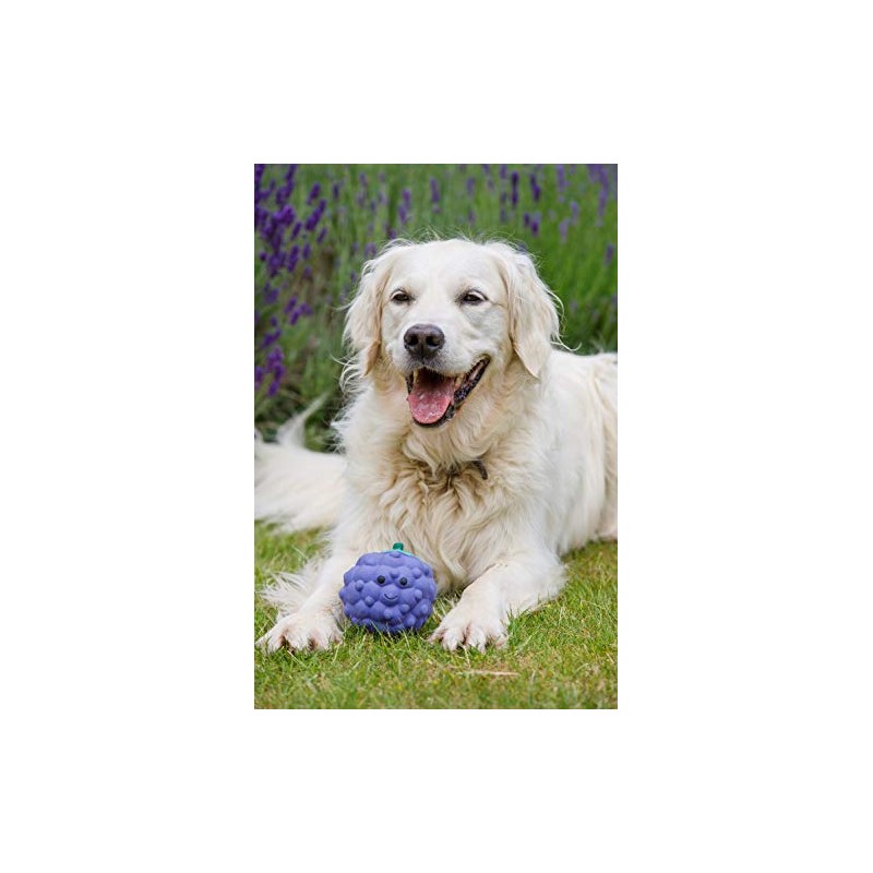 Petface Latex Blackberry Soft Chew Dog Toy, Large