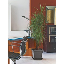 EURO3PLAST Krea 1710.62 Saucer 40 cm Square Anthracite