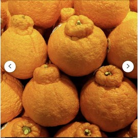 Sumo Mandarin Oranges, comes with 4lbs of the fruits