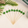 St Patricks Themed Party Decoration Supplies Toothpicks for Appetizers 100