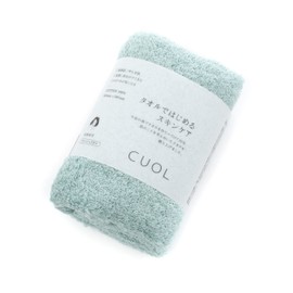 Heartwell CUOL Imabari Towel, Made in Japan, Skin Care, Sensitive Skin, Atopic Quar, Soft, Facial Cleansing, Wash Towel (13.4 x 13.4 inches (34 x 34 cm), Mint, Hand Towel