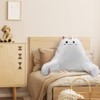 SUNSIDE Reading Pillow with Cat Design,Back Pillows for Sitting in