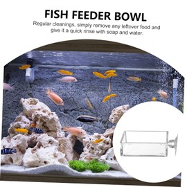 BESPORTBLE 5Pcs Aquarium Feeding Bowls with Suction Cups Shrimp and Fish Feeder Dish for Fish Tank for Aquatic Feeding Aquariums and Shrimp Tanks