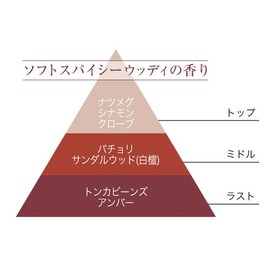 エステバン テッケトンカ デコラティブキャンドル