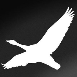 Express Yourself Lone Goose (White - Reverse Image - Large) Decal Sticker - Waterfowl Collection
