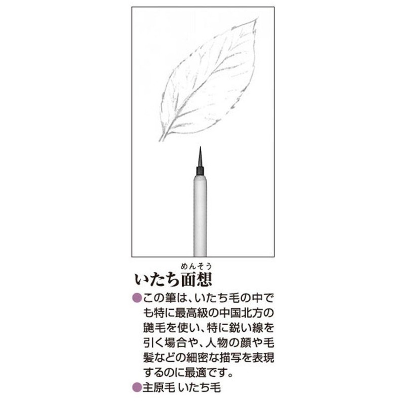 Akashiya AN-17 Picture Letter Brush, Tachi-Menso, Large