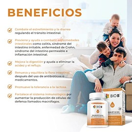 BIO B | Probióticos 25 billones UFC + prebióticos | 30 cápsulas veganas