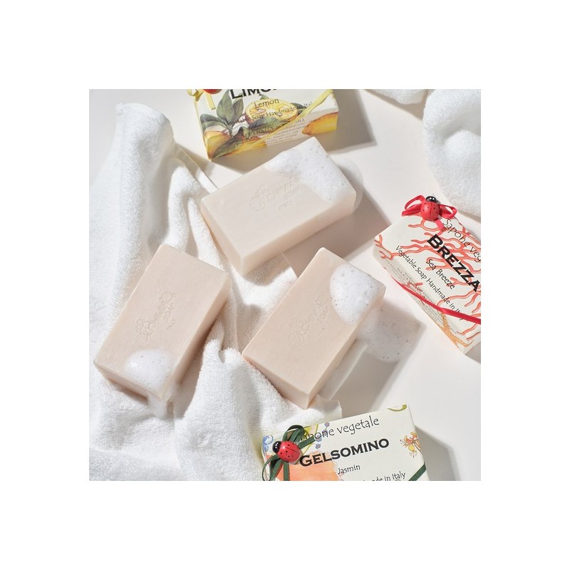 Alchimia Ladybug Soap - White Musk / 알키미아 무당벌레 비누