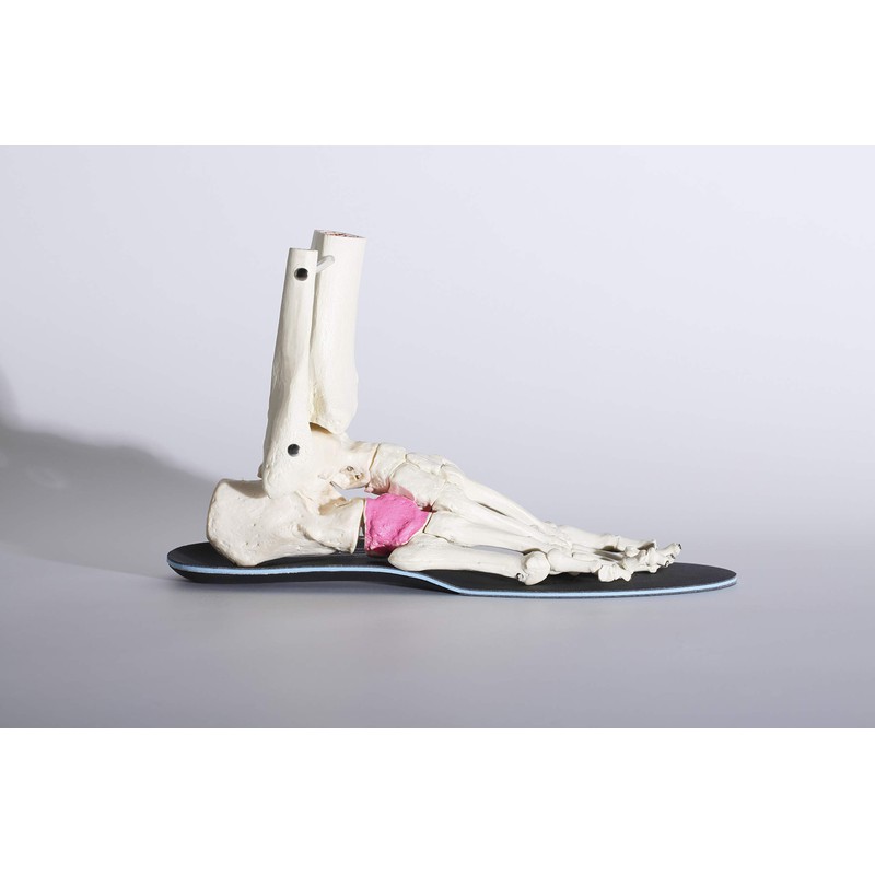 BMZ "Cuboid Balance Theory" Model Complete Sports 0.08 inch (2
