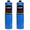 BLUEFIRE Standard Propane Gas Cylinder/Canister-Pack of 2，Small Propane Tanks Welding