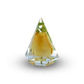 Eternal Flower Natural Tulip Preserved Flower in Resin | Resin Ring Holder Mini | Resin Art Figurines | Resin Souvenir| Paperweight (Yellow)