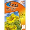 ProJet 260gsm Gloss 7x5 Paper 20 Sheets Brand ProJet ProJet Photo Paper 7 x 5 single sided 20 sheets