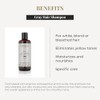 Salerm Homme Shampoo para Matizar Cabellos Blancos y Canas para