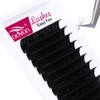 FADVAN Easy Fan Lash 0.05/0.07 9-16 mm and Mix Volume