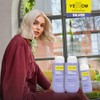 Yellow Professional Silver Purple Shampoo 500ml