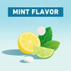 Hydroxyapatite Gum - Remineralizing Sugar-Free Mint Gum with Xylitol to