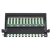 Renkforce PATCHBOX 12 PORT CAT 6A SCHW