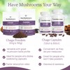 Real Mushrooms Chaga Mushroom Capsules – Organic Chaga Extract Powder
