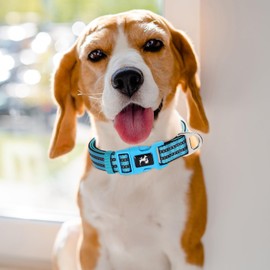 Reflective Dog Collar with Soft Neoprene Padded, Adjustable Breathable Nylon Comfort Durable for Safety Night Visibility - Gift for Medium, Large Extra Large Dogs (Blue L)