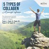 Multi Collagen Protein Powder Packets - Types I, II, III,