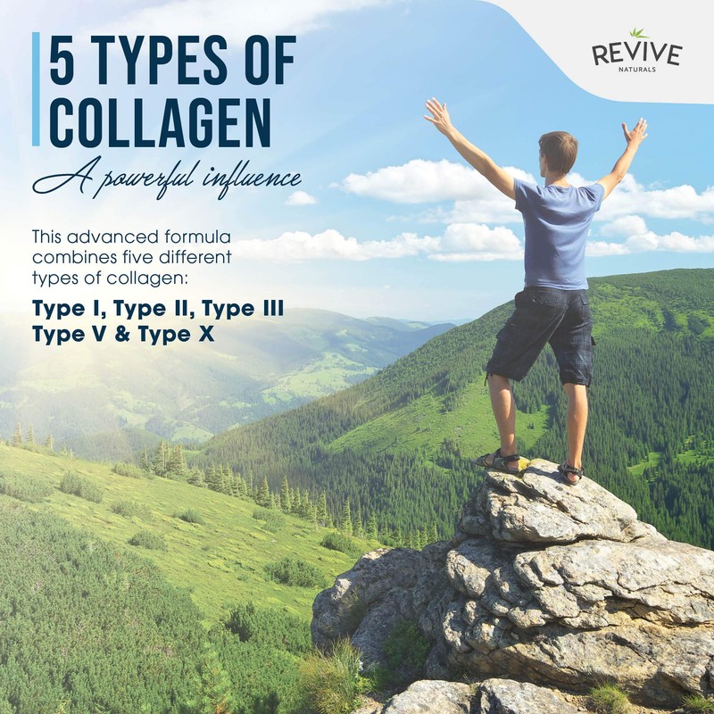Multi Collagen Protein Powder Packets - Types I, II, III,