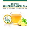 Teavity Organic Peppermint Ginger Tea Pods for Keurig - Decaf,