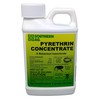 Southern Ag 10401 Natural Pyrethrin Concentrate, 8oz, Brown/A