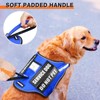 Service Dog Harness and Leash Set, Training Dog Vest with