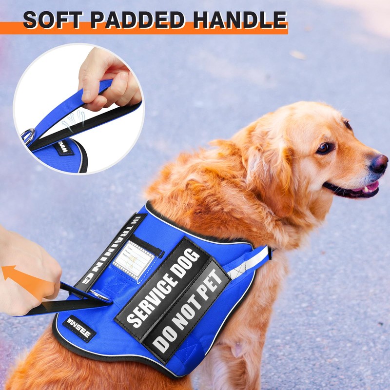 Service Dog Harness and Leash Set, Training Dog Vest with