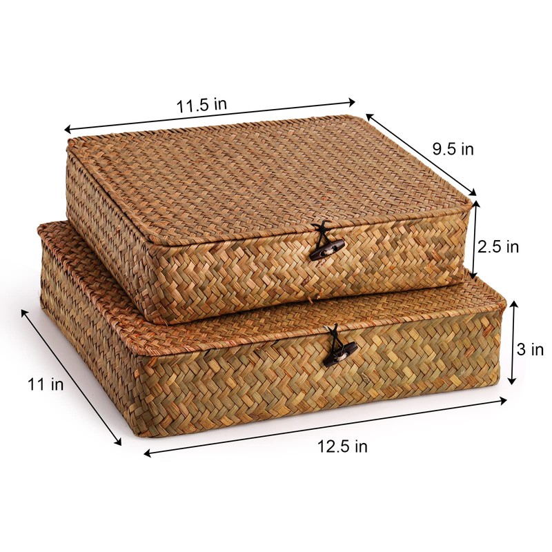 Elsjoy 2 Pack Seagrass Baskets with Lid, Wicker Storage Baskets