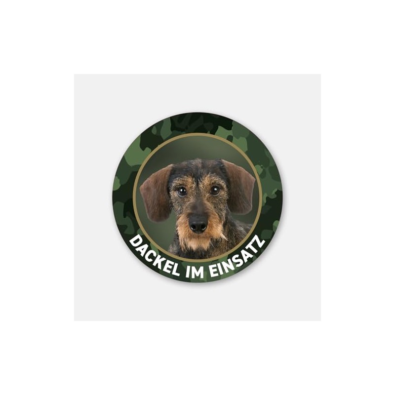 Dachshund Sticker "Dachshund im Einsatz" Rauhaardackel, Teckel, Dachshund Premium Sticker