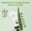 [The Face Shop] Herb Day Cleansing Foam, Aloe