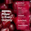VitaUp Beet Root Gummies with CoQ10 and Grape Seed Extract