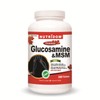 Nutridom Glucosamine Sulfate 500 mg with MSM 500 mg, 300