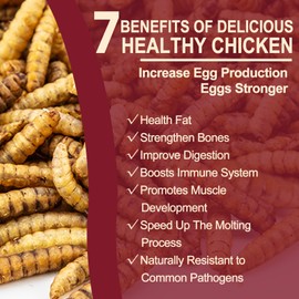 5LB Dried Black Soldier Fly Larvae for Chickens,Turkeys,86X High Calcium Grubs Than Bulk Dried Mealworms for Laying Hens,100% Natural Non GMO BSF Larvae for Chicken Treats High Protein Wild Birds Feed