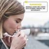 Tipson Organic Moringa Tea - Organic Green Tea - 25